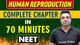 HUMAN REPRODUCTION in 70 minutes  Complete Chapter for NEET [upl. by Lance]