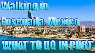 Walking in Ensenada Mexico  What to Do on Your Day in Port [upl. by Haag]