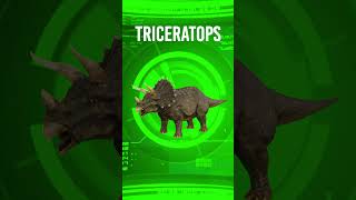 🦕 TRICERATOPS ¡Más que solo cuernos 🔬 Nuevos descubrimientos 🌿 DinoData [upl. by Sinclare]