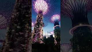 Gardens by the Bay Singaporelight show gardenbythebay travelworld shortsviral shrots singapore [upl. by Navada]