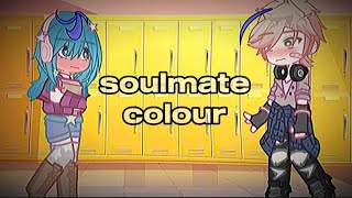 soulmate colour meme  jailey tmf [upl. by Ylelhsa591]