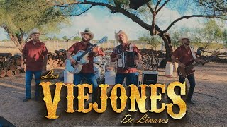 Los Viejones de Linares El Corrido De Arturo Video Oficial [upl. by Yenitirb39]