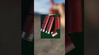 Shotgun quotCUTSHELLSquot what are they How far does birdshot penetrate Shotgun tips [upl. by Noit]