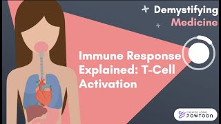 Immune Response Explained TCell Activation [upl. by Toblat783]