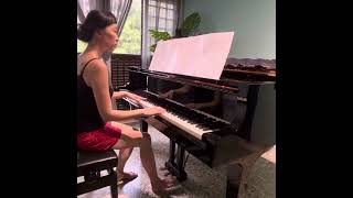 Piano Playing  Novelette in E minor [upl. by Jocelyn367]