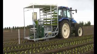 Fully automatic planting machine  4 row vegetable transplanter [upl. by Suiravad341]