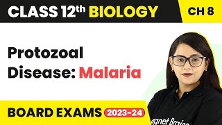 Protozoal Disease Malaria  Human Health amp Disease  Class 12 Biology Chapter 8 202223 [upl. by Yrelbmik]