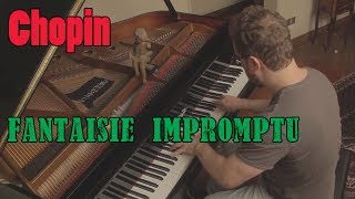 Fantaisie Impromptu  Chopin [upl. by Ahsote913]