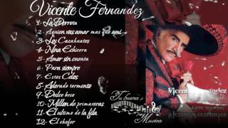 Vicente Fernandez Album para siempre [upl. by Alurd403]