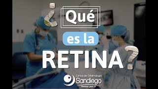 ¿Qué es la retina y ¿Cuáles son las señas de desprendimiento de la retina [upl. by Fiora943]