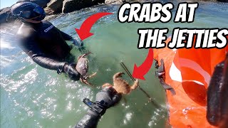 How to Harvest Crabs at the Jetties [upl. by Aerdnek]