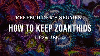 Zoanthids  How to Keep and Growing using Tips and Tricks Reefbuilders Video Segment [upl. by Morna]