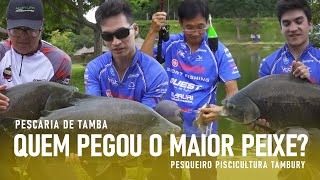 Quem pegou o maior peixe Pescaria de Tamba [upl. by Boykins]