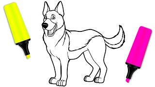 Coloring for Kids with German Shepherd Dog  Coloring Pages for Children [upl. by Lemor]