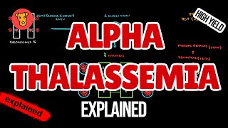 AlphaTHALASSEMIA Pathogenesis Electrophoresis Clinical symptoms for USMLE [upl. by Ert]