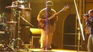 The Wailers  Aston Barrett Bass Solo  War  Live  Pisa 28409 [upl. by Gisella16]