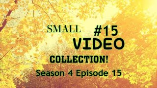 Small Video Collection Season 4 Episode 15 [upl. by Solracsiul301]