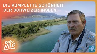 3 Stunden Doku zum Einschlafen Atemberaubende Schweiz  Real Wild DE [upl. by Ahsikyt]