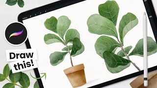 How To Draw Watercolor Fiddle Leaf Fig Tree • Procreate Tutorial [upl. by Anevad]