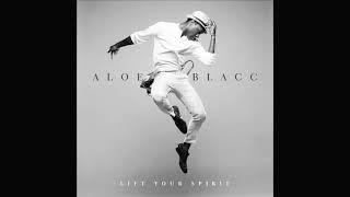 Aloe Blacc The Man Slowed Down [upl. by Wolfie354]