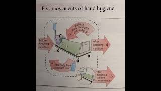 five movements of hand hygiene medical dieries [upl. by Jodi821]