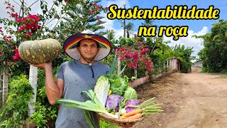 inaugurando o novo FOGÃO A LENHA com um ALMOÇO direto da roça VALDIR BARBOSA [upl. by Bristow]