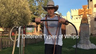 Types of Whips a Comparison [upl. by Iarised914]