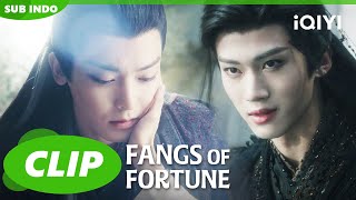 Wen Xiao khawatir dengan Zhao Yuanzhou😍🥰 Fangs of Fortune  CLIP  iQIYI Indonesia [upl. by Arocal427]