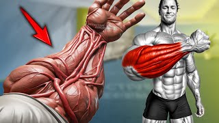 5 Best Exercise to get Forearm Veins Fast [upl. by Kylie]