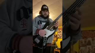 deftones needles and pins bass cover by HOBZY [upl. by Irrek]