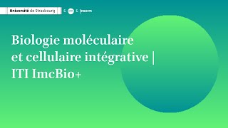 ITI  Biologie moléculaire et cellulaire intégrative [upl. by Malsi]