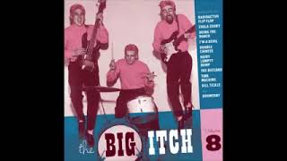 Various – The Big Itch Volume 8 50s 60s Rock amp Roll Novelty Garage Parody Rock Music Compilation [upl. by Ainesej]