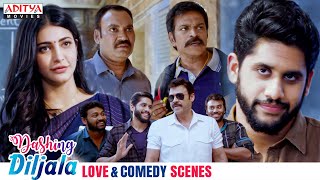 Dashing Diljala Movie Love amp Comedy Scenes  Naga Chaitanya Shruti Haasan Anupama AdityaMovies [upl. by Lonne599]