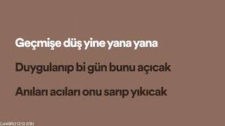 Veysel Mutlu  Yana Yana  lyrics [upl. by Anilosi]