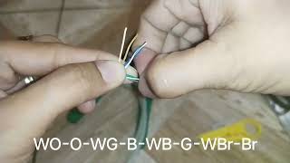 Fabrication of a Straight through cable [upl. by Knipe]