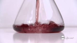 Blomus Wine Decanter [upl. by Cletus]