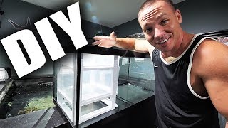 HOW TO Build a simple aquarium sump  The King of DIY [upl. by Entsirhc556]