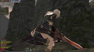 Lineage 2 Reborn X15 Gameplay  Wbijamy lewele SPS [upl. by Elleinahc]