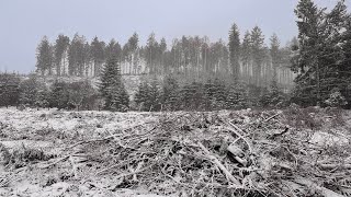 Kielder Forest  Snow fall Feb 2024 [upl. by Morrell]