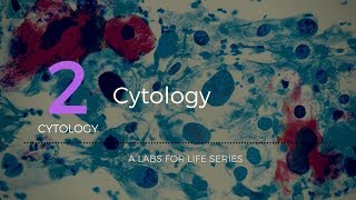 Cytology [upl. by Leesa864]