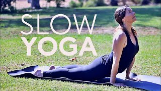 20 Minute Yoga Slow Flow Vinyasa Stretch Core Strength  Fightmaster Yoga Videos [upl. by Eslehc]