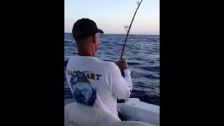 bigeye tuna fishing puerto rico [upl. by Nevin]