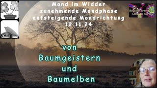 Mond Geflüster von Baumgeistern und Baumelben [upl. by Gnof]