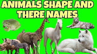 Learning video for toddlers  animals shape and their name  Plastic animals toys collection cow [upl. by Aimaj637]