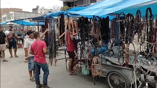 Feira de Areios em Cachoeirinha PE [upl. by Forcier]