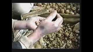 Masanobu Fukuoka Makes Seed Balls [upl. by Pall]