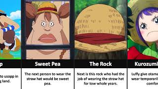 All One Piece Characters That Wore Luffys Straw Hat [upl. by Ayikahs]