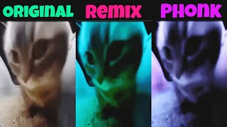 Chipi Chipi Chapa Chapa Original vs Phonk vs Remix All Version [upl. by Atnom]