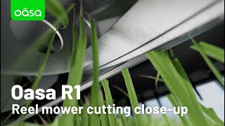 Oasa R1 Reel mower cutting closeup [upl. by Berard968]