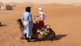 Camel standing up  Erg Chigaga Luxury Desert Camp Morocco [upl. by Leur]